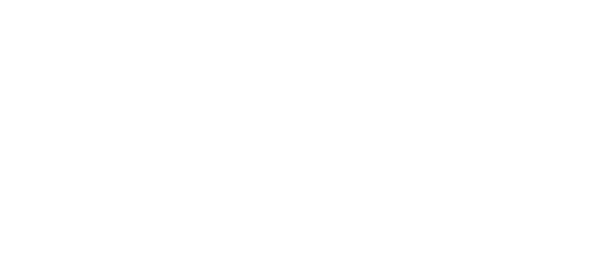 SSC-Consult Logo